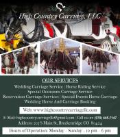 Horse and Carriage for Weddings in Breckenridge image 1